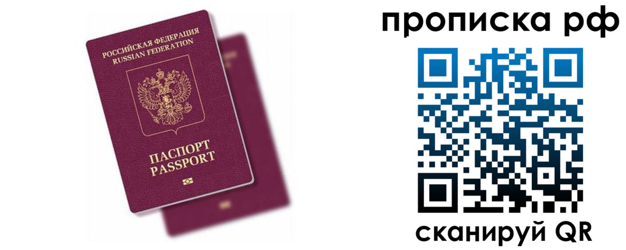 прописка в Сольцах